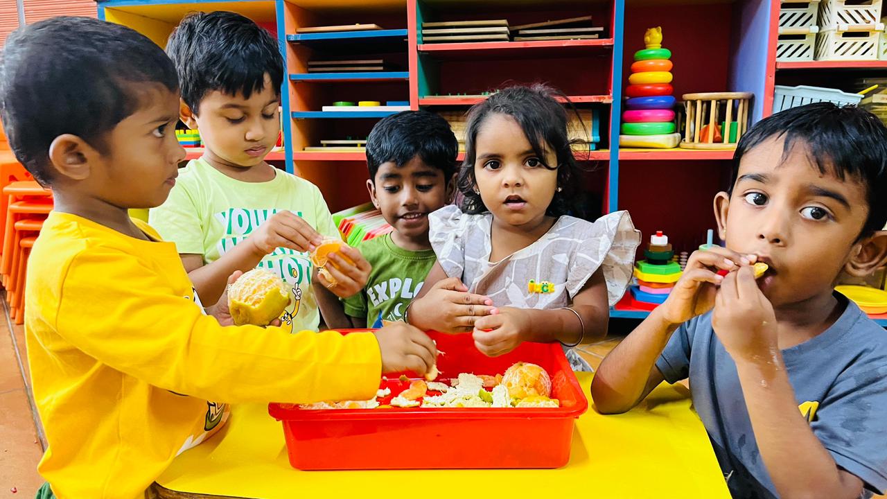 Discovery Den - Life Skills